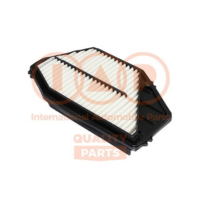 Air Filter (121-06035)