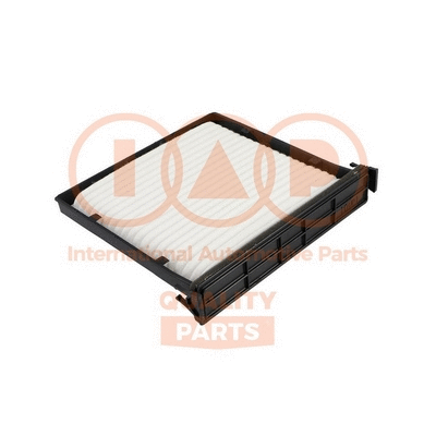 Filter, cabin air (821-17001A)