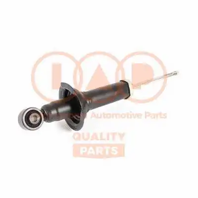 Shock Absorber (504-06066P)