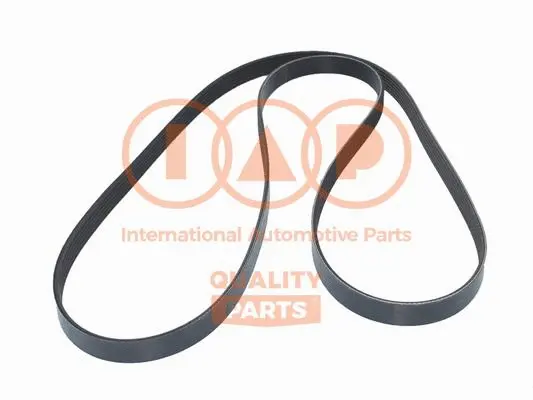 V-Ribbed Belt (140-20042)