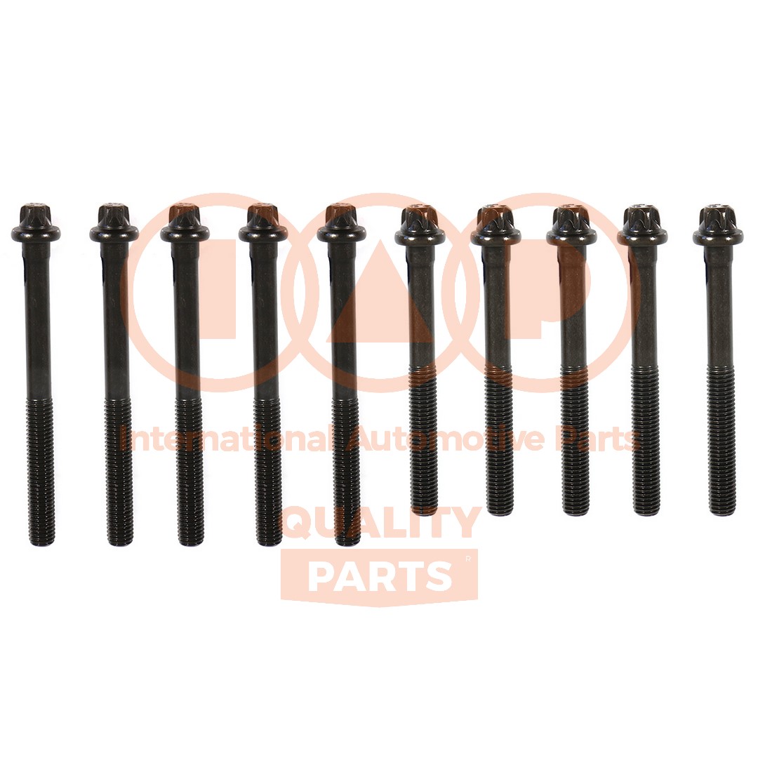 Cylinder Head Bolt Set (119-29020)