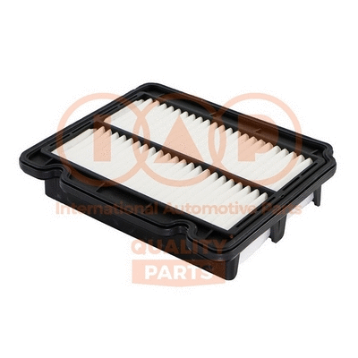 Air Filter (121-20080G)