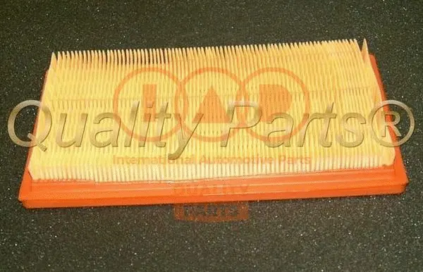 Air Filter (121-07091)