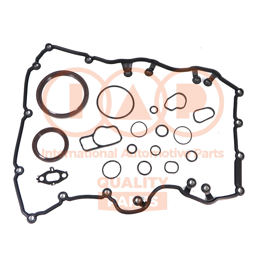 Gasket Kit, crankcase (117-54020)