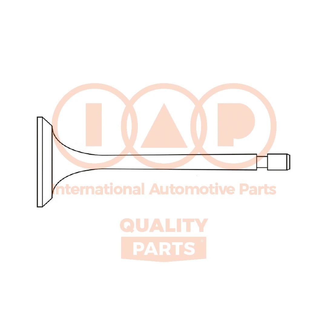 Intake Valve (110-50010)