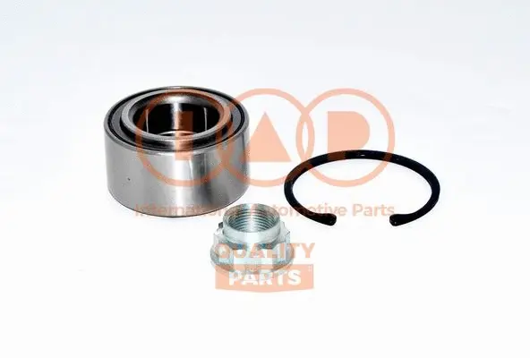 Wheel Bearing Kit (409-17170K)