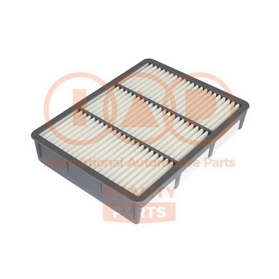 Air Filter (121-17110)
