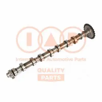 Camshaft (124-21076)