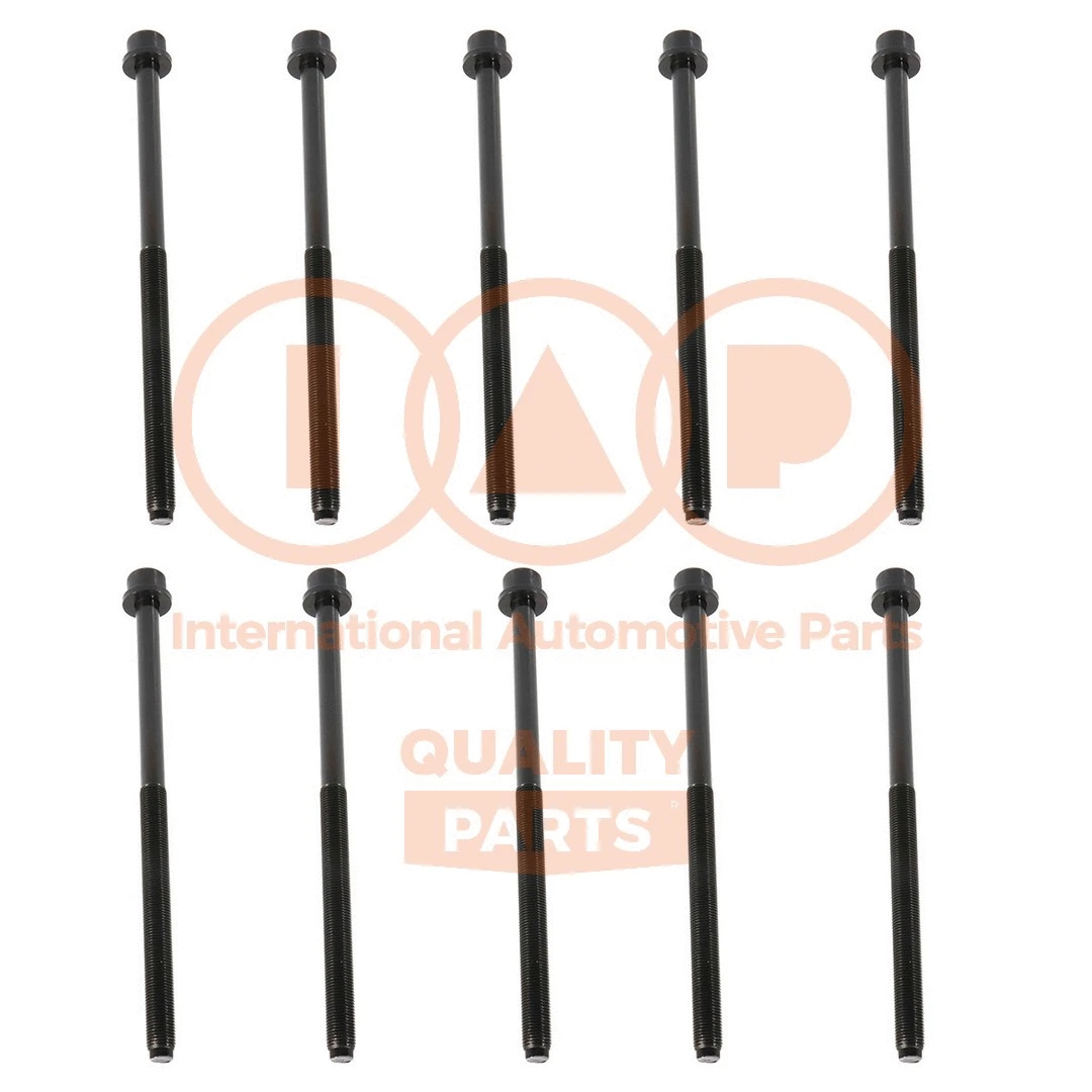 Cylinder Head Bolt Set (119-16101)