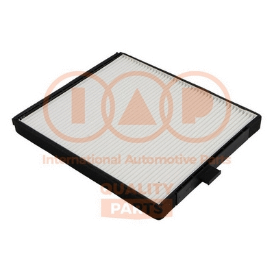 Filter, cabin air (821-20080)