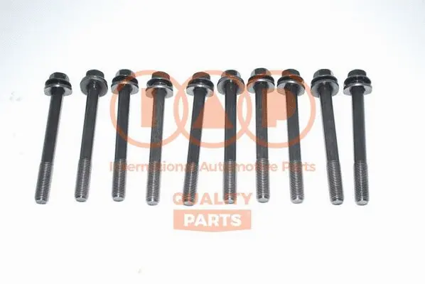 Cylinder Head Bolt Set (119-20061)