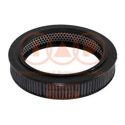 Air Filter (121-07011)