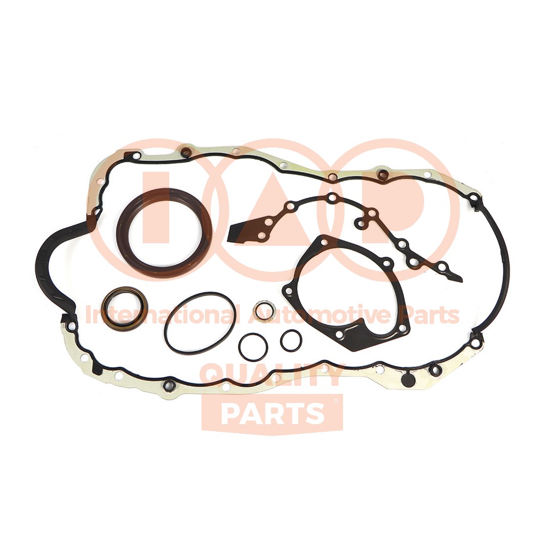 Gasket Kit, crankcase (117-13111)