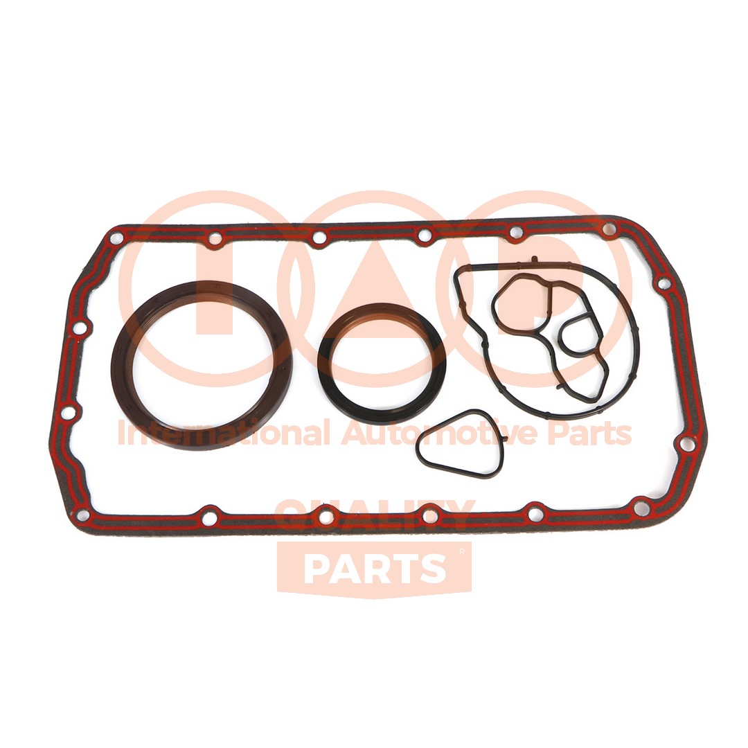 Gasket Kit, crankcase (117-51001)