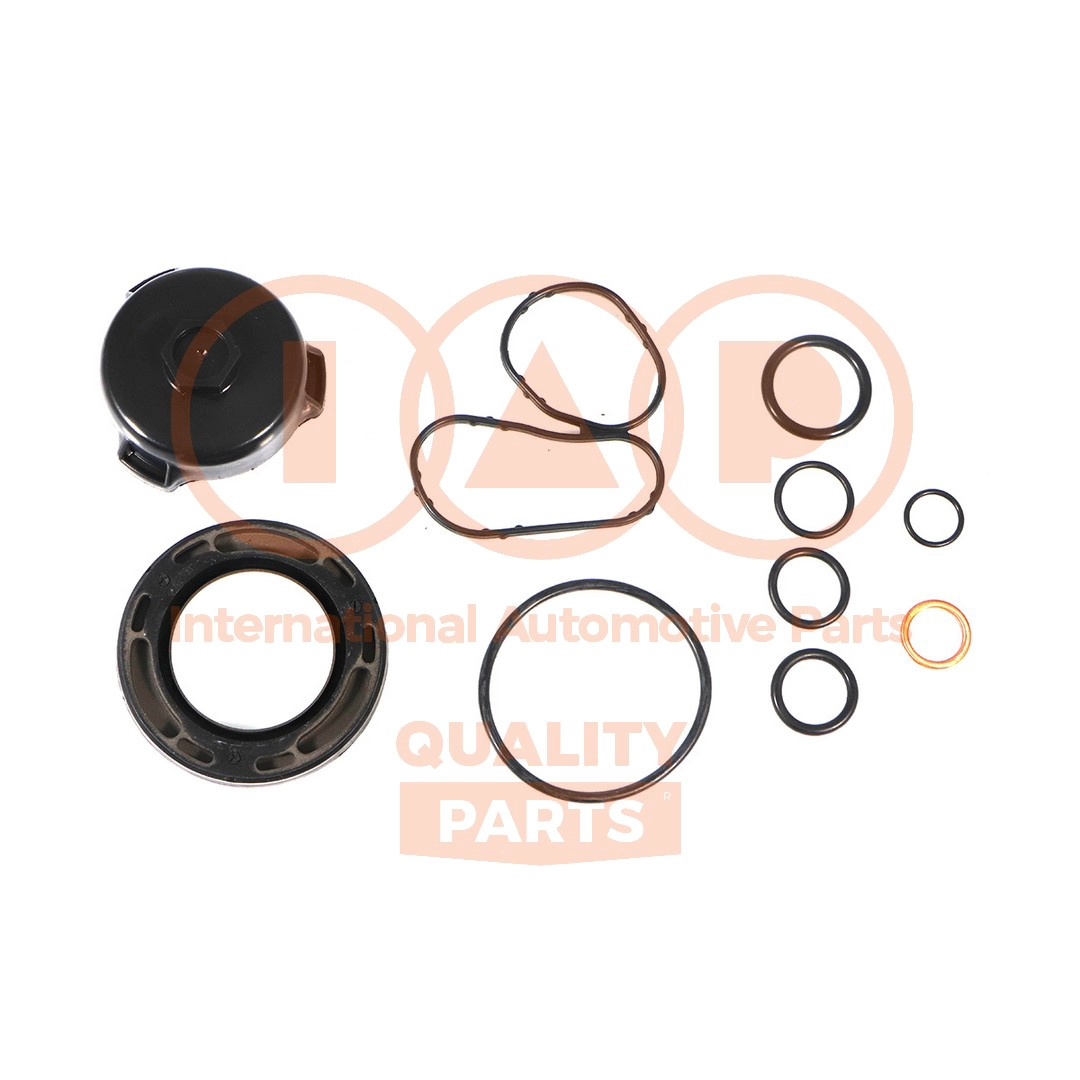 Gasket Kit, crankcase (117-13220)