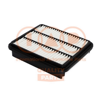 Air Filter (121-12051)