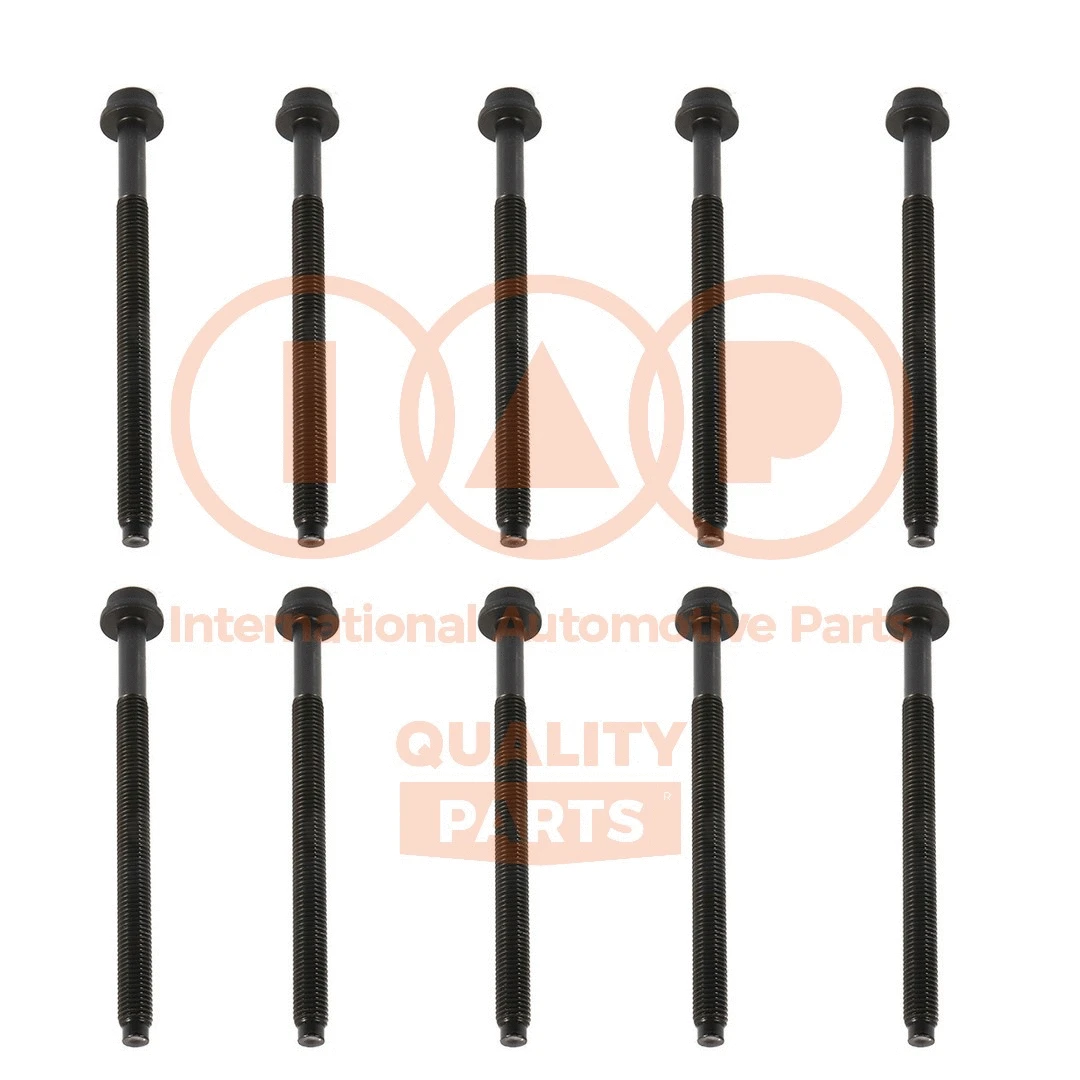 Cylinder Head Bolt Set (119-11080)