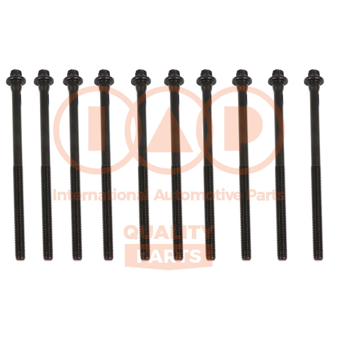 Cylinder Head Bolt Set (119-52060)
