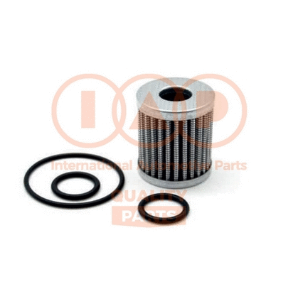 Fuel Filter (122-GAS22P)
