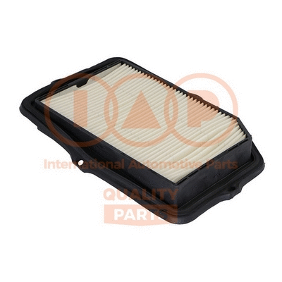 Air Filter (121-06013)