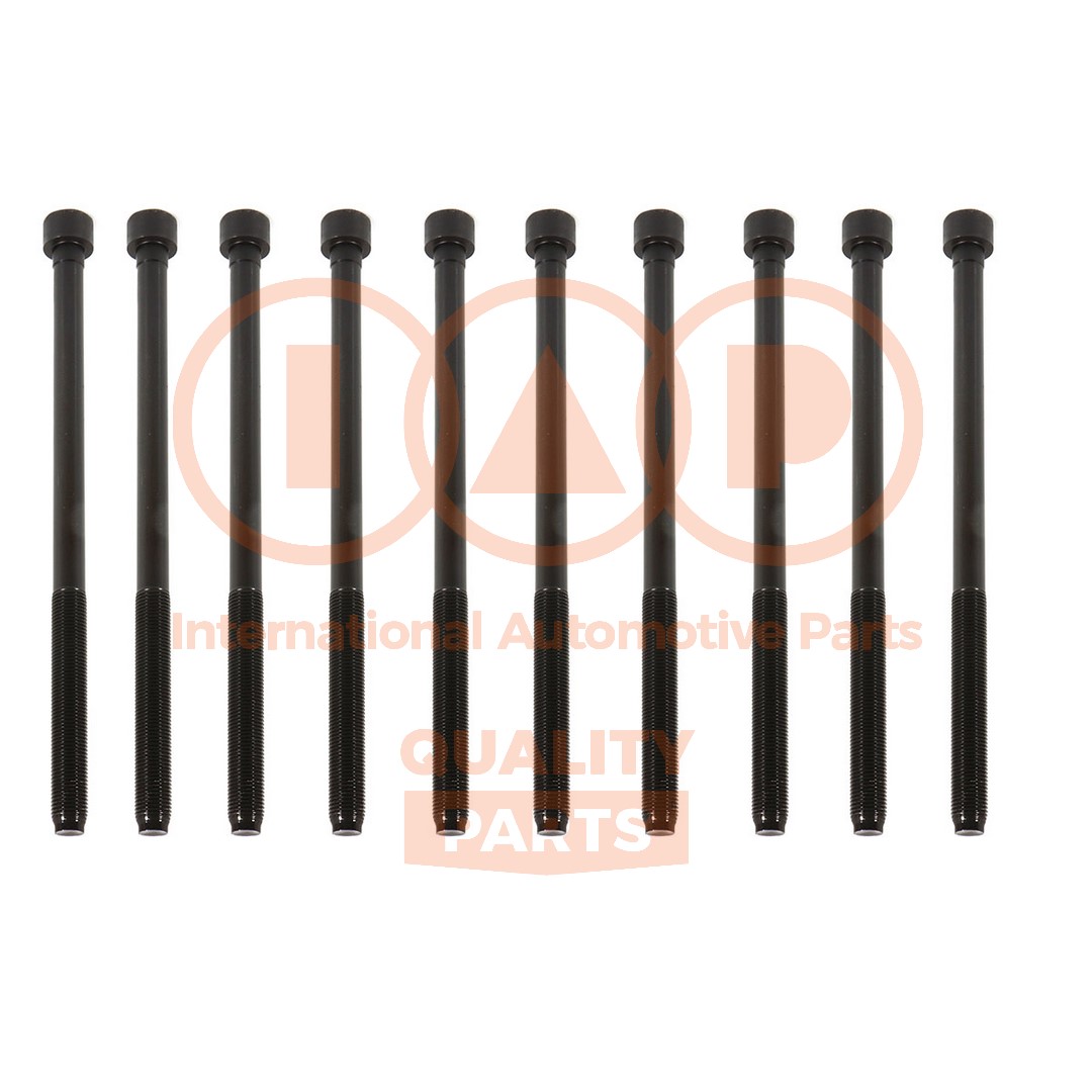 Cylinder Head Bolt Set (119-16100)
