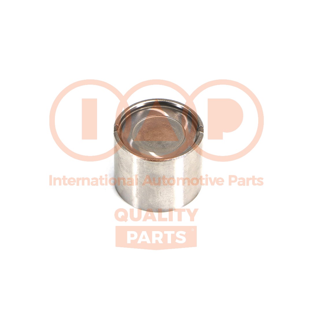 Rocker Arm, engine timing (125-16100)