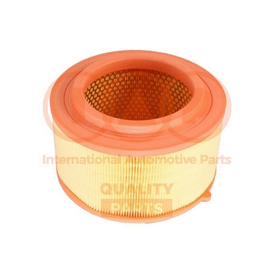Air Filter (121-04031)