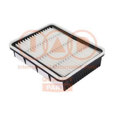 Air Filter (121-11111)