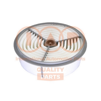 Air Filter (121-17070)