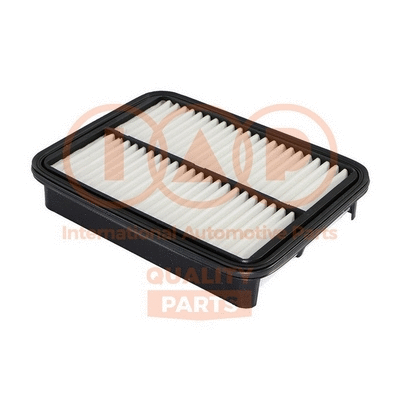 Air Filter (121-17091)