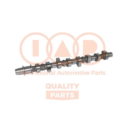 Camshaft (124-17060)