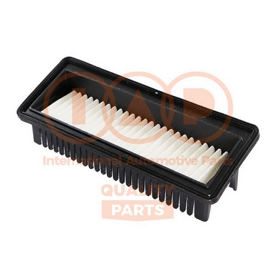 Air Filter (121-07096G)