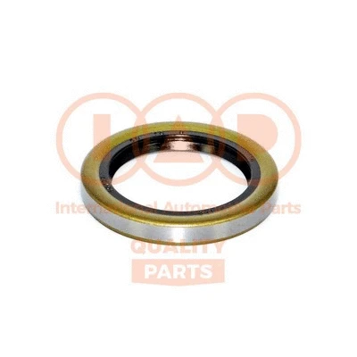 Shaft Seal, wheel hub (404-17051)