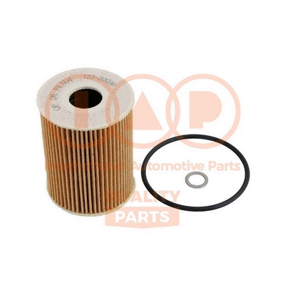 Oil Filter (123-20090)