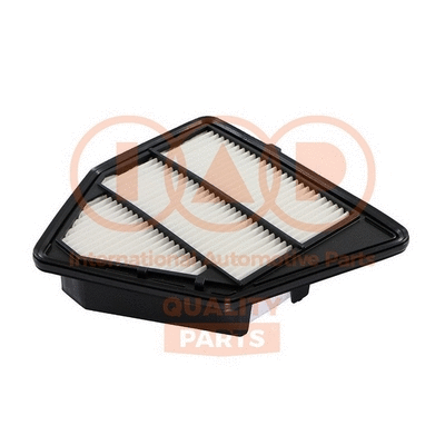 Air Filter (121-06065)