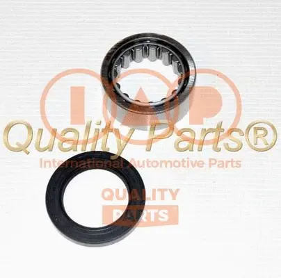Wheel Bearing Kit (409-17041K)