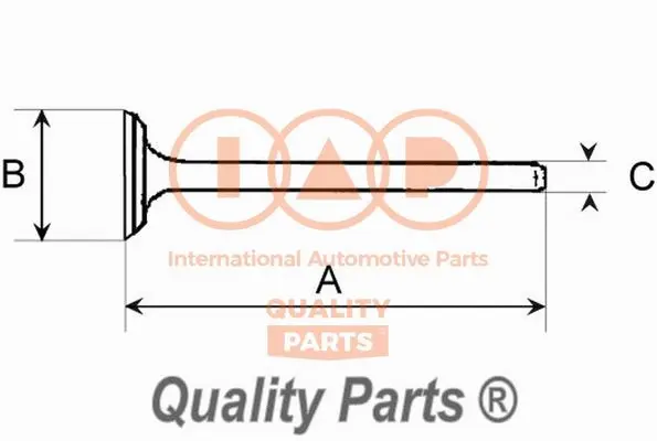 Intake Valve (110-00100)