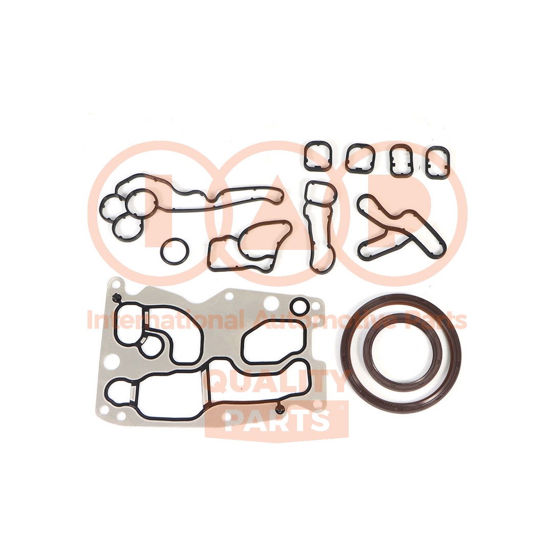 Gasket Kit, crankcase (117-17192)