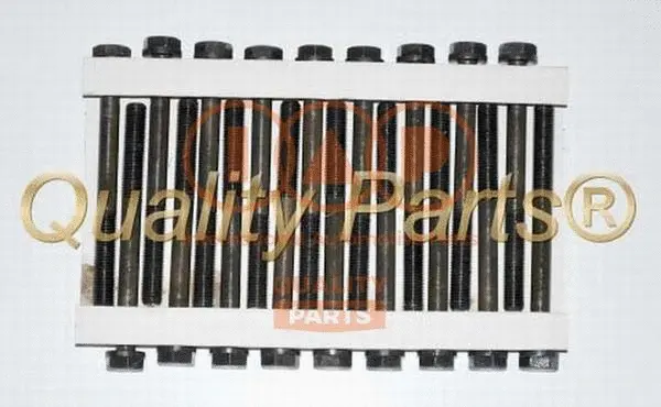 Cylinder Head Bolt Set (119-09012)