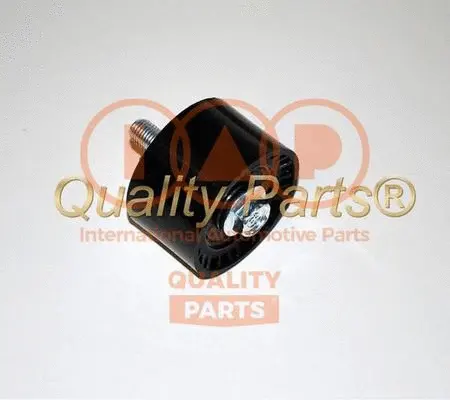 Tensioner Pulley, timing belt (127-21056E)
