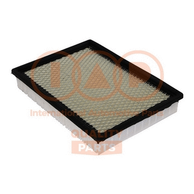 Air Filter (121-02060)