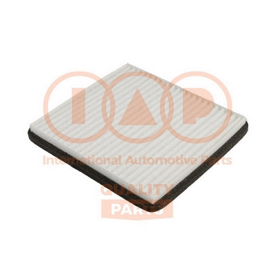 Filter, cabin air (821-20062G)