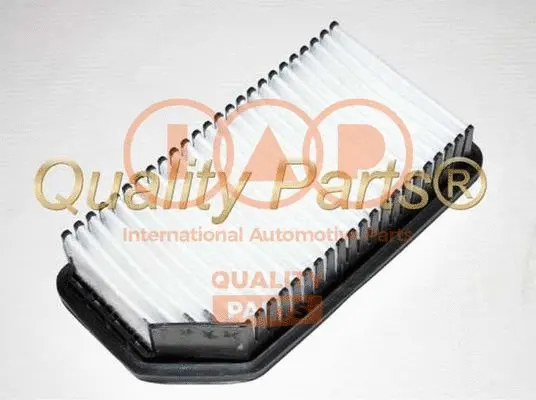 Air Filter (121-21110)
