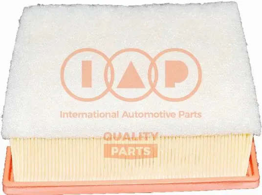 Air Filter (121-10080)