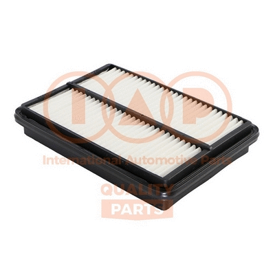Air Filter (121-24010)