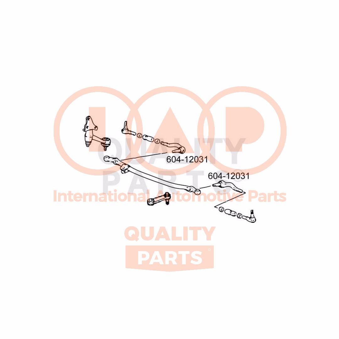 Tie Rod End (604-12031)