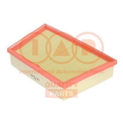 Air Filter (121-14091)