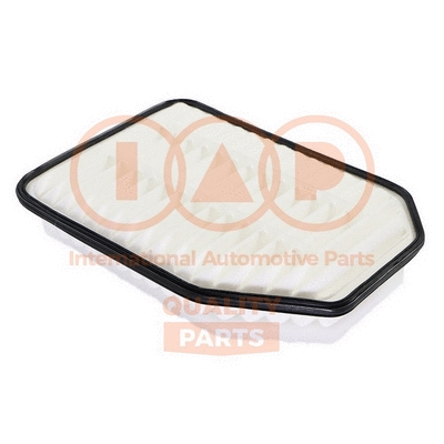 Air Filter (121-10035)