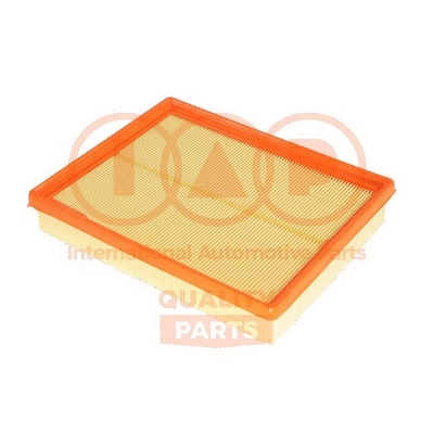 Air Filter (121-21078)