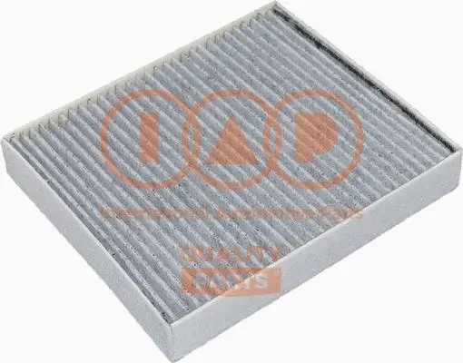 Filter, cabin air (821-20100C)